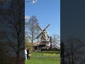 #keukenhof 2026 🇳🇱 #netherlands #shortvideo