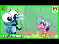 Os Sentidos | Bob Zoom | Vídeo Infantil Musical Oficial @BobZoom