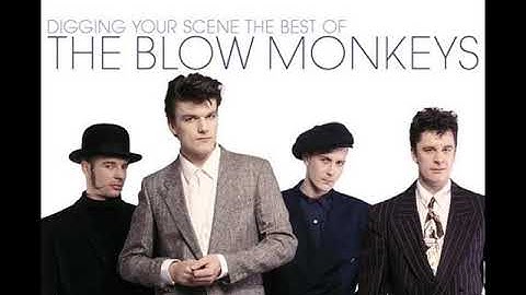 The Blow Monkeys ‎- It Doesn