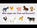 Was sagen die Tiere auf Deutsch?Животные на немецком.Что &quot;делают&quot; животные на немецком?