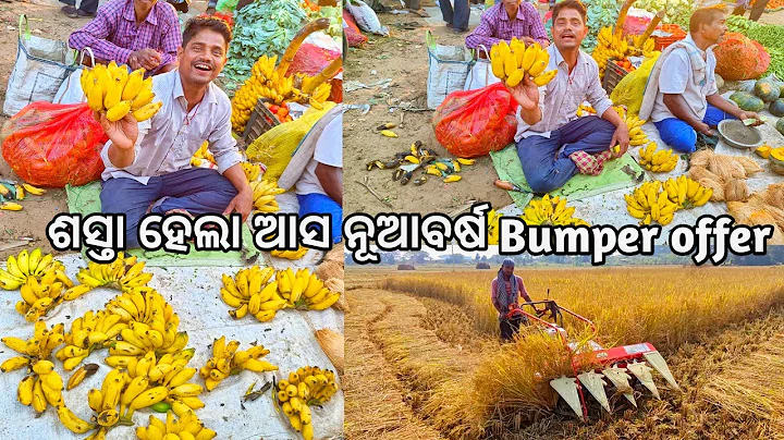 Bumper offer l      l Gouranga Nayak Odia Vlogs l Rice cutting machine