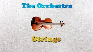 Introduction to Music #01