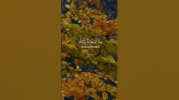 استمع لبدايات سورة يوسف بصوت نادر الجمال – الشيخ المنشاوي #القرآن_الكريم #المنشاوي #quran