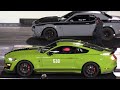 Hellcat vs Shelby GT500 - muscle cars drag racing
