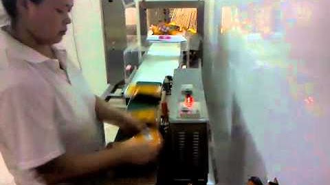 online dynamic checkweigher for seasoning and sauces from DaHang Automation Ltd