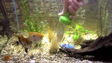 Easy Aquarium Cleaning  - Kick the bucket  with the Python