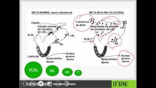 REVIEW: LIPIDS, CARBOHYDRATES, AND PROTEINS