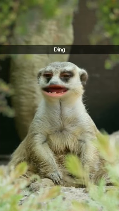 I did A lot today motherfucker