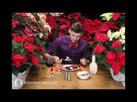 Video: Poinsettia - Christmas Paj