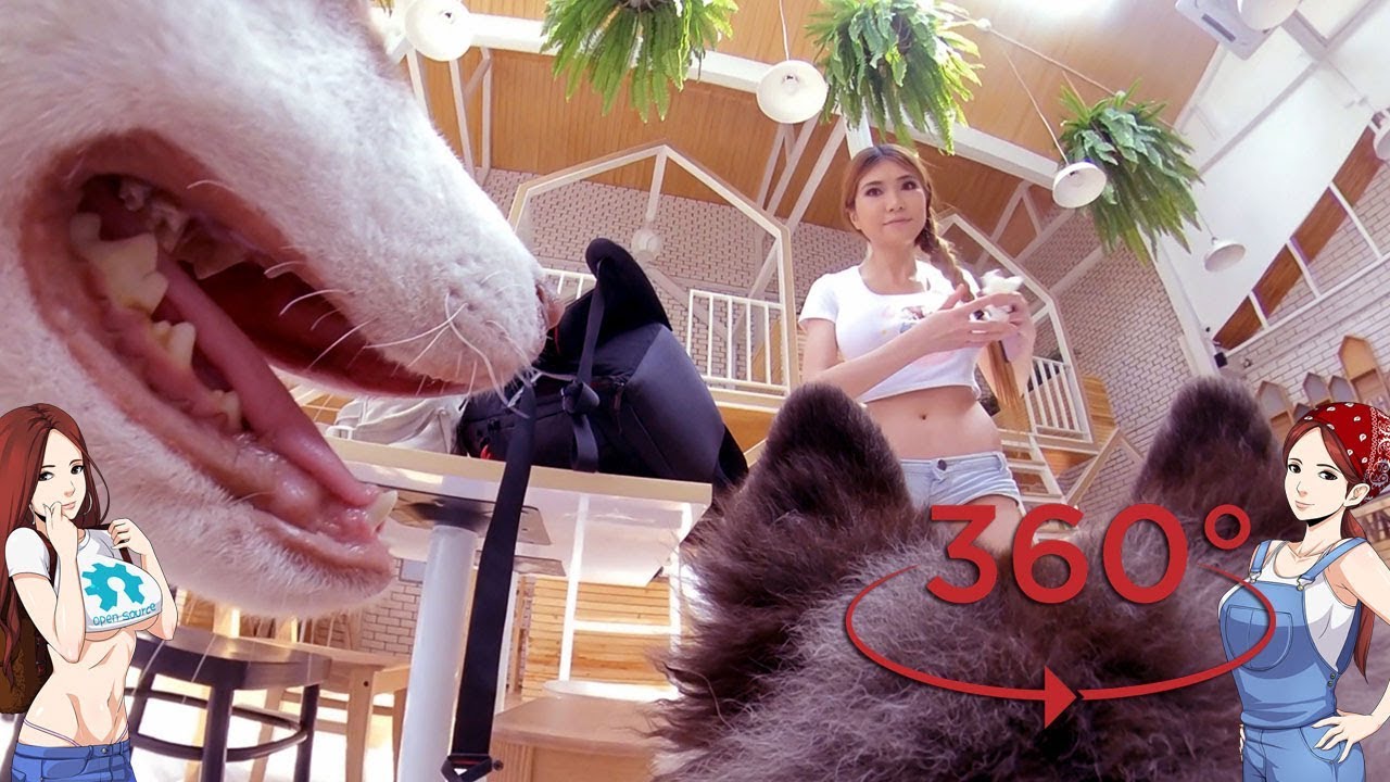 A Husky Tried To Eat My 360º VR Camera!