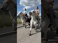 Bandido manade Gillet à Langlade