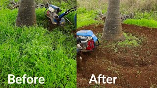 Autofarm Power Weeder  ஒரு தேங்காய் விவசாயி எவ்வாறு பணத்தை மிச்சப்படுத்துகிறார்?  9626883388