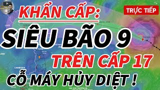 KHẨN CẤP: Siêu Bão Số 9 Ragasa – Quái Thú Biển Đông Báo Động Đỏ! BÃO SỐ 10?