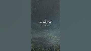 #سورة ال عمران |إِنَّ الَّذِينَ كَفَرُوا بِآيَاتِ اللَّهِ لَهُمْ عَذَابٌ شَدِيدٌ🤍🖤
