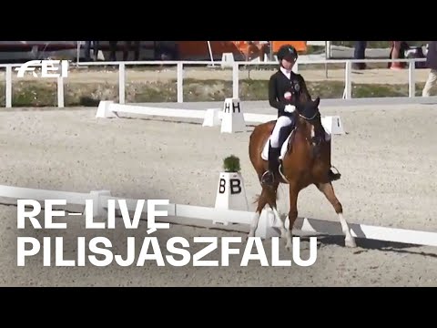 RE-LIVE | Dressage Individual Test Day 1 | Ponies | FEI Dressage European Championships 2020