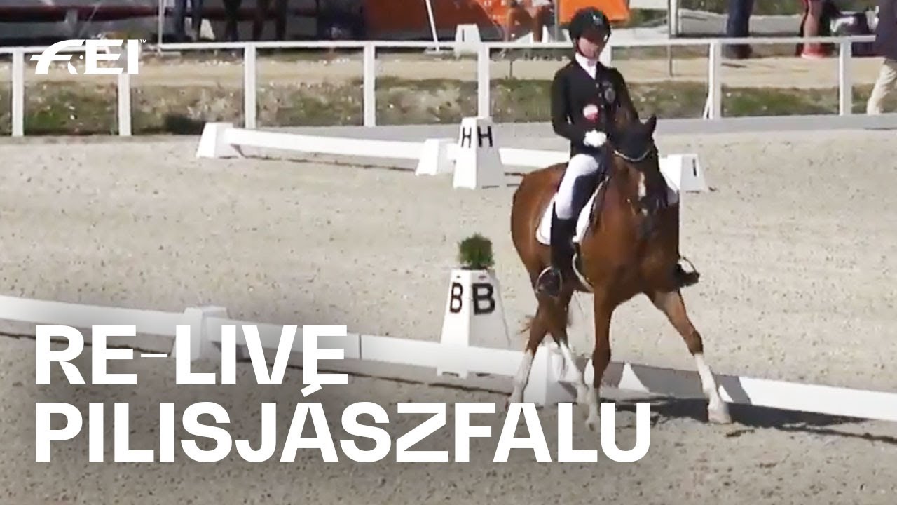 Re Live Dressage Individual Test Day 1 Ponies Fei Dressage European Championships Youtube