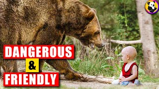 Incredible Moment: Who Said Wild Animals Weren't Friendly? by Koala TV 319 views 1 year ago 8 minutes, 3 seconds