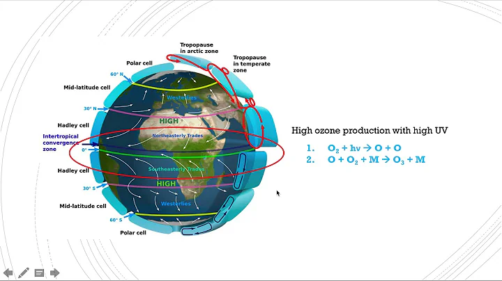 The Stratospheric Ozone Trends at Mid-Latitudes