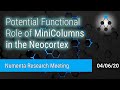 Potential Functional Role for Minicolumns in Neocortex