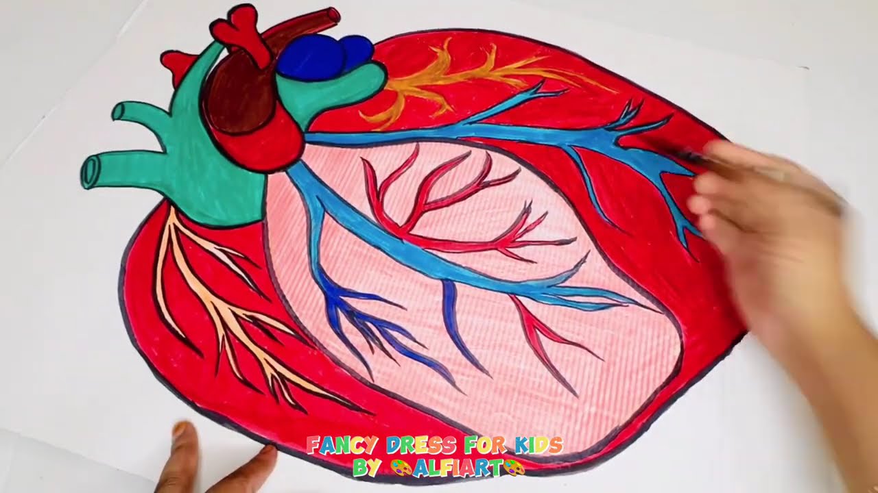 Heart fancy dress costume | how to make heart costume very easy with cardboard| science activity diy