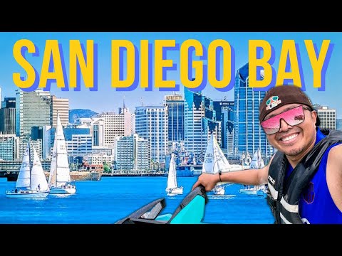 Vídeo: Quais atividades aquáticas você pode fazer em San Diego?