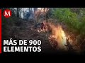 Tres incendios forestales liquidados por Protección Civil de Chiapas