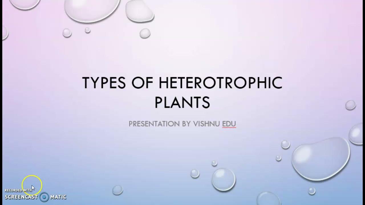 Types of Heterotrophic Plants Vishnu EDU YouTube