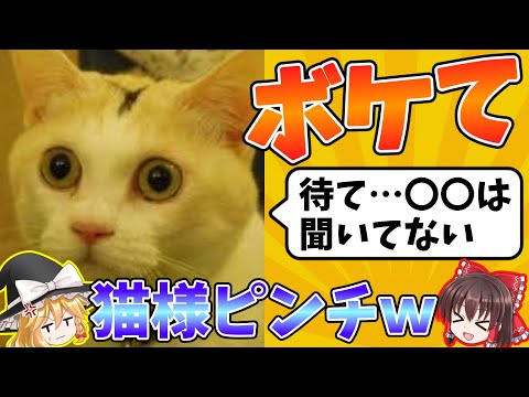 動物のボケてにつっこんでみた〜爆笑アニマル大集合〜#1【ゆっくり】