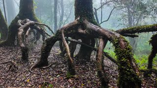 Du Gia   Dong Van Karst Plateau National Park, Vietnam | 4K Walking tour