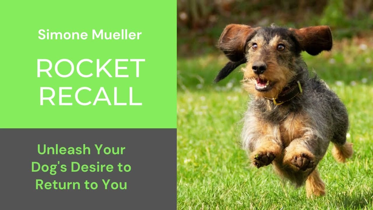 Rocket Recall - Book Trailer