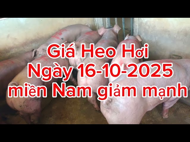 miền Nam giảm mạnh