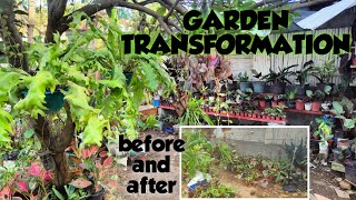 NO COST GARDEN TRANSFORMATION, FROM START TO FINISH..