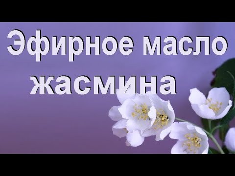 Эфирные масла свойства и применение. Эфирное масло жасмина.