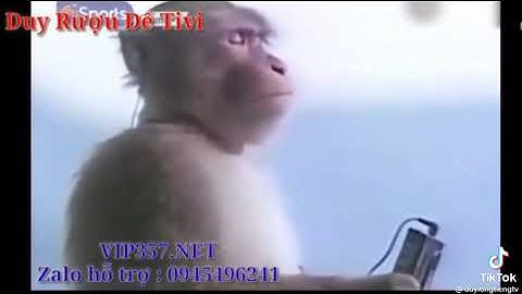 lời dậy của phật .không nên trộm cắp..duy rượu đế