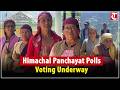Himachal Panchayat Polls Phase 1 Voting Underway in Kullu & Chamba