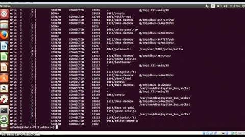 4- netstat command in linux