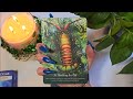 Whispers Of The Ocean Oracle Cards 🐢🦀🪸🪼🦑🌊 Review Flip Through #oracle #tarot #deck #cards