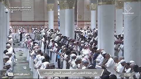 صلاة المغرب للشيخ أ.د. #محمد_برهجي الجمعة 13 جمادى الأولى 1446هـ من سورة التوبة 67-68 ، 71-72