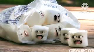 Marshmallow Murder Add Round 1