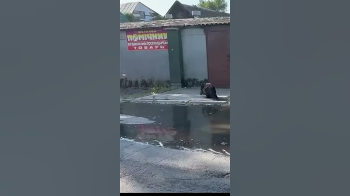 Nova Kaxovkada sel evləri aparır