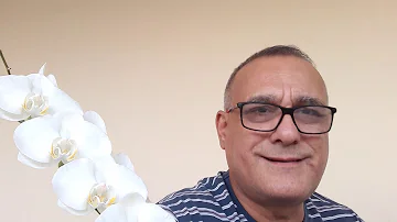 Como os conflitos e as tensões contribuíram para a atual configuração do território brasileiro?