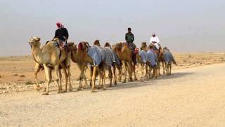 Download lagu 2 Lives 1 Place Haya Salma Noura Messallem