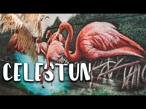 Celestun -  🦩 We found Flamingos in Yucatan Mexico 🦩