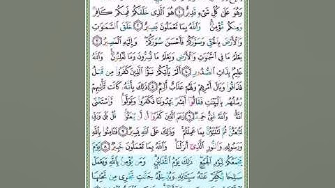 #سورة التغابن #تلاوة الآنسة سمية #الآية 9#قليل دائم خير