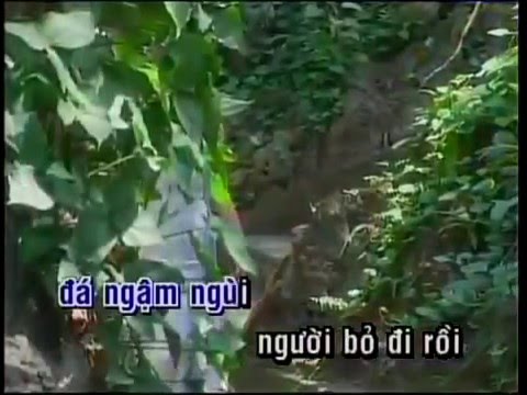 Hỏi Đá Có Buồn Không  - Jimmy Nguyễn -  Karaoke