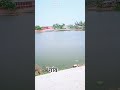 #ytshorts #minivlog