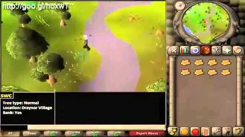 Runescape 2007 Bot - Direct Download - 2013