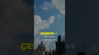 Hangi Ülkelerde İnsanlar Daha Çok Dokunuyor? 45 Ülkelik Araştırma #psikoloji #sosyoloji #fizikseltem