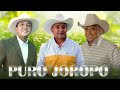 Reinaldo Armas, Vitico Castillo, Jorge Guerrero - Lo Mejor De Musica llaneras - Puro Joropo Mix
