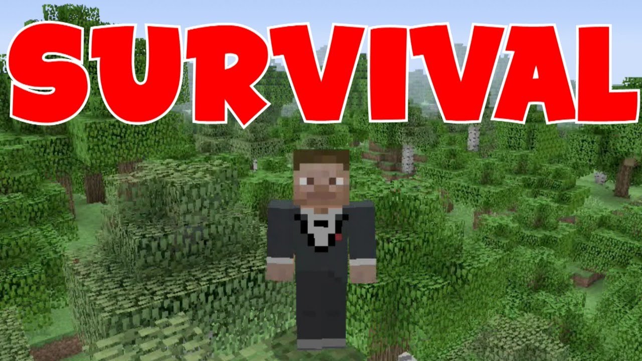 pc remote Minecraft Community Survival